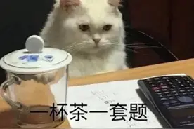 表情包｜满脑子都是学习的表情图片