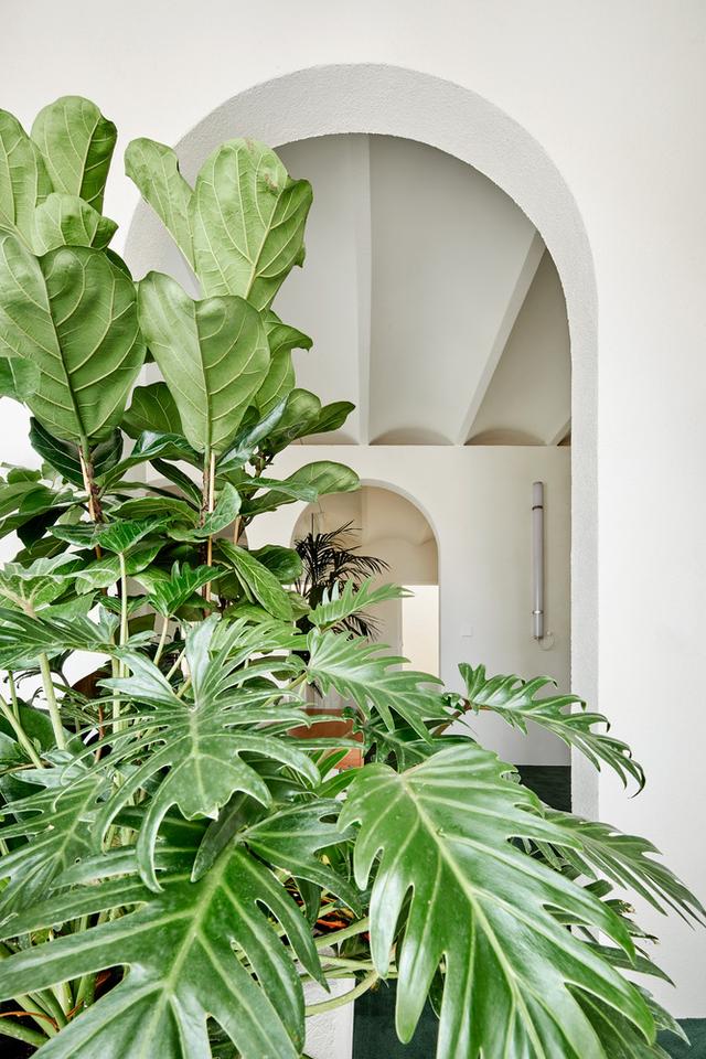 （案例）制约成就有趣的平面分割，系列弧形门公寓