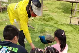 国庆节哪里去？郑州周边一日游图片