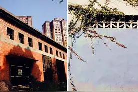 沉浸式体验，莲花蝶变有看点图片