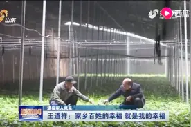 孔里庄村脱贫致富，荣获山东省文明村，离不开村支书王道祥的努力视频封面