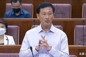 新加坡部长：别用自贸协定挑起排外情绪图片