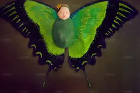 给新生儿拍照有哪些禁忌图片