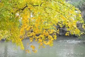 抑郁症服药第108天，今天状态很好，有种被治愈的感觉！图片