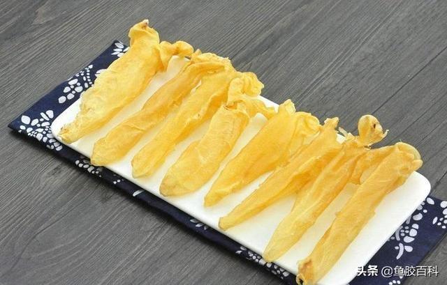 每天吃花胶的变化 2026年每天吃花胶的变化是什么