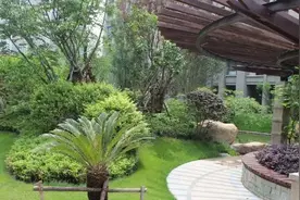 漳州购房问答 诏安房产了解吗，有什么好房源推荐吗？图片