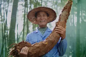 我是福建人图片