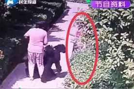 “安阳王”倒了，没有庇护权力迷失的“金钟罩”“铁布衫”图片