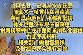 “恶魔之花”全国围剿！武汉后河南全境遭侵，它有多毒？如何铲除图片