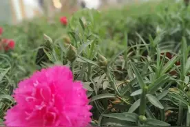 唯美伤感朋友圈图片