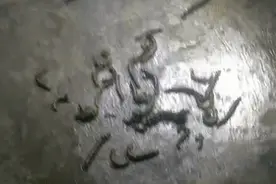 慎入！密密麻麻，四处蠕动，公园里这个虫子让游人头皮发麻图片