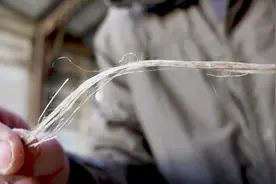 亚麻是怎样加工成的做衣服用亚麻面料的