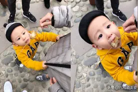 张嘉倪全家生活近照，老公帅气儿子可爱，爸爸看起来好年轻图片