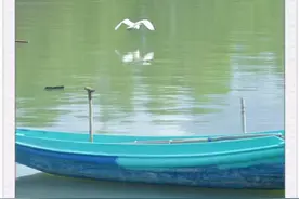 讲述海边的故事图片