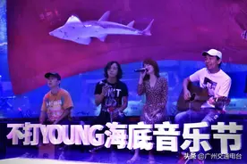 长假留守羊城好去处，到海底听场不一样的音乐会图片