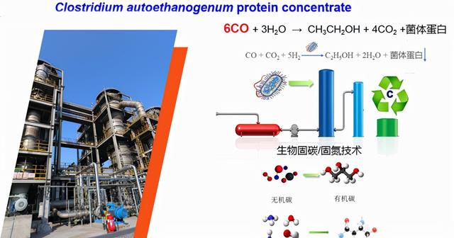 全球首次！中国将解决粮食问题？合成蛋白质成功，实现万吨级产能