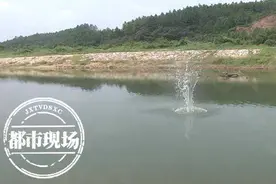 母子双双落水，母亲获救儿子溺亡，七旬老人：我已经尽力了图片