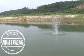母子双双落水，母亲获救儿子溺亡，七旬老人：我已经尽力了图片