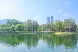 盼了两年的深圳公园，终于开放了图片