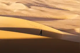 手机拍的照片怎样才能更加清晰？图片