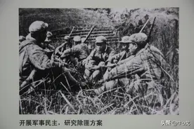 广东剿匪超偶然活捉付桂标，是人意还是天意？图片