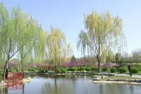 石家庄3月市容管理考评结果出炉新增“市容管理优秀镇（办）考核图片
