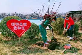 备乡味解乡愁，荣盛康旅守护战疫英雄“回家”图片