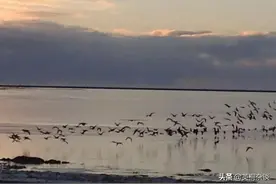 血制品：稀缺性奠定长线投资价值图片