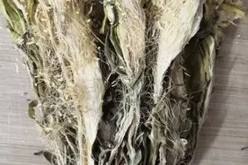 霸王花的煲汤做法，特别适合懒人使用，以后喝汤不愁了图片