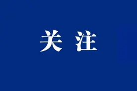 武清区领导深入京滨工业园现场推动重点项目建设图片
