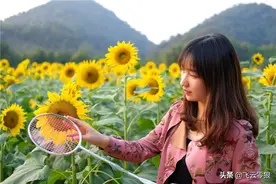 「中羽在线飞云零狼」卡林甜区拍——一支我无法评测的球拍图片