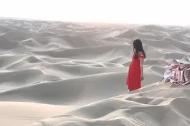 傻瓜，情人不是妻图片