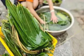 煮粽叶除了用清水，还要多放2样，粽叶柔软韧性好，香味浓不破裂图片