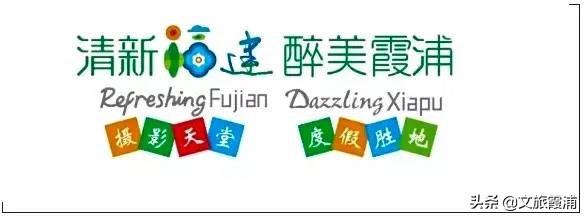 七头鳕鳘花胶多少钱 2026年鳕鳘鱼花胶多少钱一斤