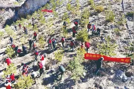 走，去玉泉山种樱花树！图片