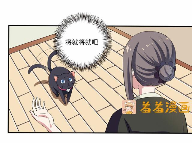 夜路走多了，竟捡到宝，带着巨钻的小黑猫一只