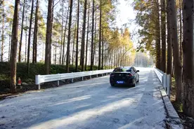 提前36小时！这条“网红路”正式开放通行啦图片