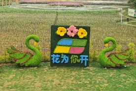 田牌“花为你开”景区已开园，4月期间每天推出100张免费入园券，你去了没？图片