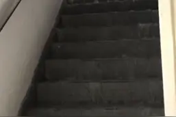 突发！济南凤凰国际小区楼梯成瀑布！2部电梯因进水停运图片