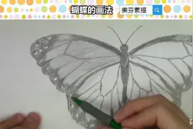 初级素描蝴蝶的画法步骤，画大轮廓、细节和明暗！适合新手学习图片