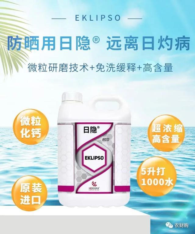 5类柑橘防晒剂大PK,优缺点详细介绍，究竟谁是下一个翘楚？