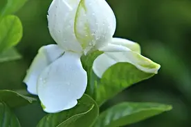 做个热爱生活的人图片