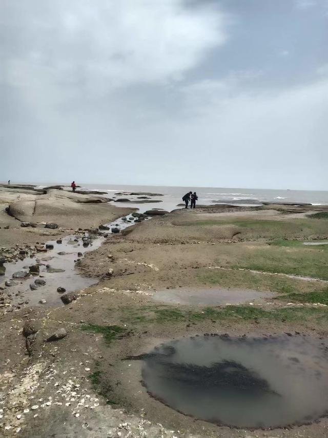 赶海是什么意思（今天说一说什么是赶海）