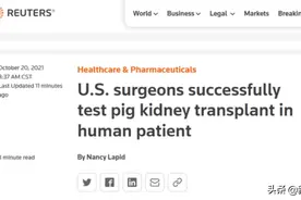 世界首例猪肾移植人体成功，作秀大于临床应用？图片