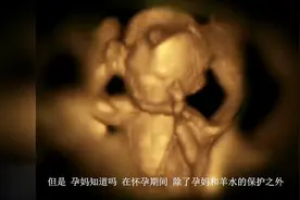怀孕期间，胎宝是怎么“自我保护”的？看来小家伙的求生欲很强啊视频封面