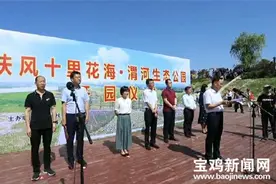 醉心田！扶风“十里花海”渭河生态公园开园迎宾图片