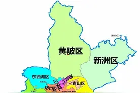 2020中国最新行政区划——湖北省武汉市图片