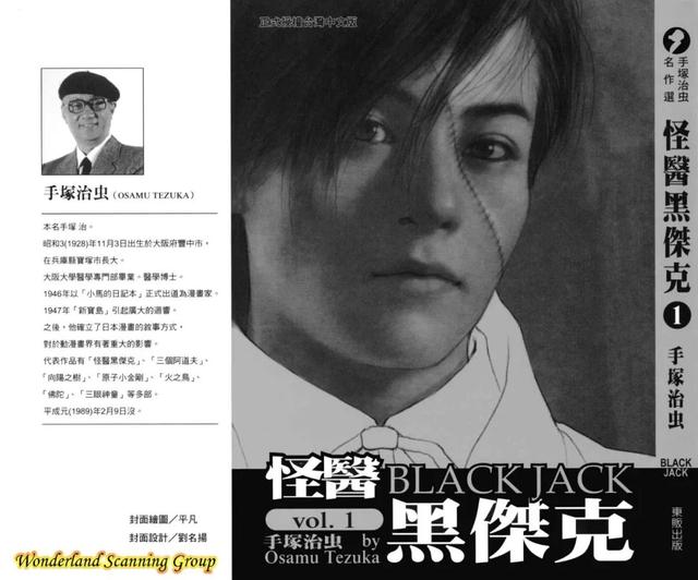 15万人票选「日本人最喜欢的漫画」Top100，海贼王登顶