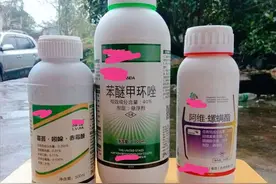 如何鉴别真假农药？记住这5点，假农药会离你远远的图片