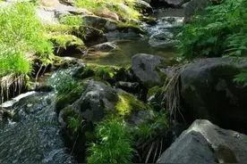 用我的经历解读我的家乡——黑龙江图片
